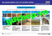 Đa dạng động vật có xương sống