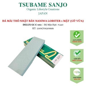 Đá mài phá Naniwa Nhật Bản #220 DELUX C 102 (210x70x20)