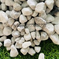 Đá Matrix - Vật Liệu Lọc Cao Cấp cho Bộ Lọc Hồ Cá