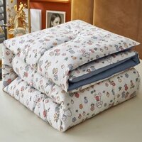 [Đa Năng] 【23.5Hàng Nghìn Người Khen Ngợi】(Thông Quan)Chăn mùa đông, chăn mùa xuân và mùa thu, chăn