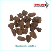 Đá nham thạch lọc nước hồ cá 1kg giúp lọc sạch và trong nước