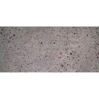 Đá ong xám (30×60) dày 1cm