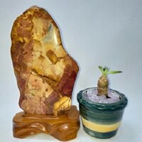 Đá phong thủy Canxedon đỏ CXD001