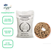 Đá Pumice, Đá bọt 40dm3 khoảng 20kg