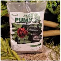Đá  Pumice - Đá bọt - Ficoco