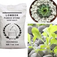 Đá Pumice (Đá bọt núi lửa) Size 1-2cm Bao 40 Lít nhẹ, thoáng, giữ ẩm rất tốt