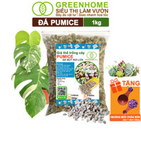 Đá Pumice Greenhome, Bao 1kg, Đất Trồng Sen Đá, Giá Thể Trồng Cây, Lót Chậu, Nhiều Khoáng Chất, Thoát Nước Tốt - PUMICE 1KG 5-8