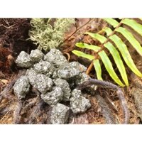 Đá Pyrite ( vàng găm ) dạng viên
