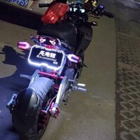 Dạ Quang Biển Xe Điện Xe Máy Điện Dạ Quang Đuôi Xe Điện Biển Số Độc Đáo Khỉ Nhỏ Rùa Vua Dạ Quang