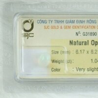 ĐÁ QUÝ OPAL TỰ NHIÊN OVAL 6*8 LI 31890