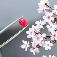Đá Ruby Đỏ Tự Nhiên Dùng Làm Mặt Nhẫn Nam Nữ Trọng lượng 2.85 ct kích thước 11mm*6.8mm*3.8mm