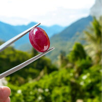 Đá Ruby Đỏ Tự Nhiên Dùng Làm Mặt Nhẫn Nam Nữ Trọng lượng 9.20 ct Ruby chất thịt mịn nhẫn Nam Kt 12mm*9.5 mm.7.1 mm