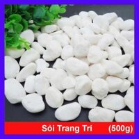 Đá sỏi trang trí chậu cây Loại Vừa - 500g