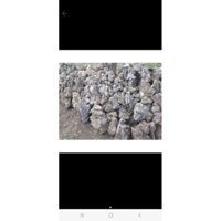 đá trang trí bể cá