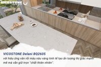 ĐÁ VICOSTONE BQ2605 ( DENALI )