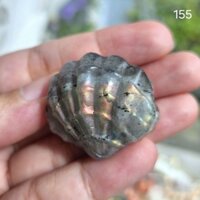 đá xà cừ labradorite mài khắc hình vỏ sò