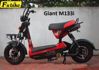 Đặc điểm của Xe đạp điện Giant M133i