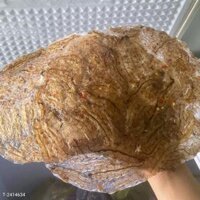 Đặc sản khô tôm tích Bến Tre - com bo 3 miếng 200gr/Gói