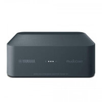DAC Yamaha WXAD-10