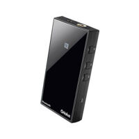 DAC/AMP Oriolus 1795 ver 4.4mm Balanced