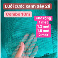 Dài 10m - Lưới cước xanh dày 2li, cao 2m- 1,5m - 1,2m - 1m, Làm vèo,rào chắn.