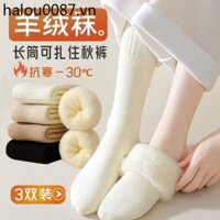 Dài Cashmere Tất Nữ Mùa Đông Dày Vừa Ống Cao Tất Cotton Đông Bắc Len Cực Dày Lông Cừu Lót Người Cao Tuổi Ấm Áp Vớ