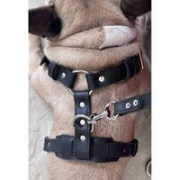Đai Đeo Chó Da Bò - Leather Dog harness