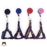 Đai kèm dây dắt lớn vải jeans 2cm cho chó
