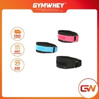 Đai lưng thể thao Gym bảo về cột sống Phụ Kiện Gym Aolikes Đai lưng trơn (1698) TPBS
