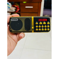 Đài Nghe FM kinh phật khe cắm Usb như hình
