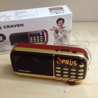 ĐÀI Nghe FM,Pháp, Niệm Phật, Nhạc Mp3, Loa Thẻ Nhớ, Tụng Kinh Phật, Đài FM Craven CR 836S có rắc cắm tai nghe