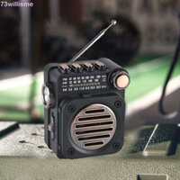 Đài phát thanh nổi WILLISME, Loa tích hợp Đài phát thanh Mini bỏ túi không dây, Bộ thu di động FM AM SW Đèn pin LED Máy nghe nhạc Bluetooth Du lịch
