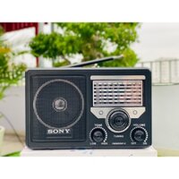 Đài Radio FM,AM,FP  ĐÀI SW1-9 , Kết Nối Đa Dạng, Thích Hợp Nghe Nhạc, Nghe Đài FM, Tin Tức, Thời Sự, Dung Lượng Pin CAO