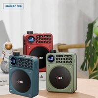 Đài Radio kiêm loa Bluetooth 5.3 hỗ trợ thẻ TF, USB, tai nghe, chạy pin sạc, kiểu dáng mini hiện đại cao cấp C65