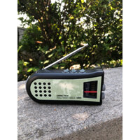 Đài radio phòng chống thiên tai DRETEC PR-319