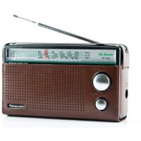 ĐÀI RADIO PIN ĐẠI CHUẨN PANASONIC RF-562DD ( AM/ FM/ SW)