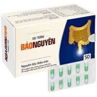 Đại Tràng Bảo Nguyên HTP (H/50v)