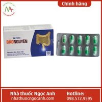 Đại Tràng Bảo Nguyên