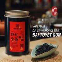 Đại Tuyết Sơn Cổ Thụ Dã Sinh Hồng Trà - cây 200 năm