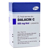 Dalacin C 600mg/4ml, chỉ định điều trị những nhiễm khuẩn