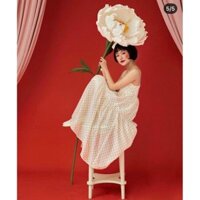 ĐẦM BBD HOA 2S   một em đầm 2s cực phẩm bên em ạ 🥰🥰mùa hè này phải có ngay em này vào tủ 😍😍mùa đông phối đố cũng ok lắm