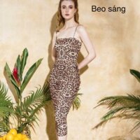 Đầm body báo 2d