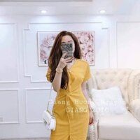 Đầm body cao cấp dự tiệc