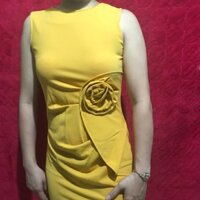 Đầm body hoa Hồng