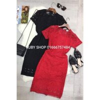 ĐẦM BODY REN HOA CAO CẤP PHỐI TAY CON