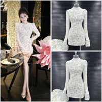 Đầm body ren thêu hoa nổi dài tay