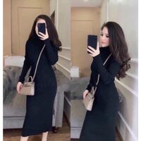 Đầm body-Váy len tăm cổ lọ dáng dài body fom dưới 58kg h2shop