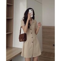 Đầm chữ A, váy nữ - Váy Xòe khuy gỗ sừng siêu xinh, Váy nữ dự tiệc dáng chữ A