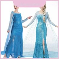Đầm công chúa Halloween Frozen Elsa Snow Queen dành cho người lớn đa năng