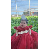 đầm công chúa